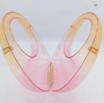 Capsule Luxury Acrylic Handbag
